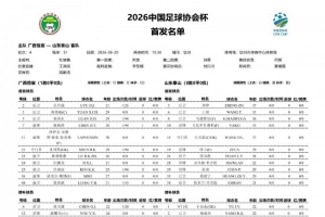 巴拉圭vs澳大利亚直播_巴拉圭vs澳大利亚在线观看_巴拉圭vs澳大利亚高清无插件