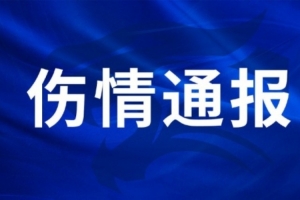 美国vsB3/E3/F3/I3/J3直播_世界杯美国vsB3/E3/F3/I3/J3在线观看_美国vsB3/E3/F3/I3/J3超清在线直播