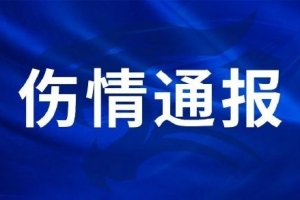 阿根廷/埃及vs瑞士/哥伦比亚直播_阿根廷/埃及vs瑞士/哥伦比亚免费在线直播_阿根廷/埃及vs瑞士/哥伦比亚在线直播