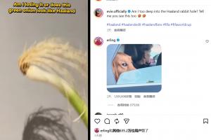 法国vs西班牙/比利时直播_法国vs西班牙/比利时比赛直播_法国vs西班牙/比利时直播全场录像